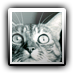 Avatar de Utipieks