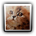 Avatar de Wilburnweigh
