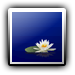 Avatar de Nakishahiepe